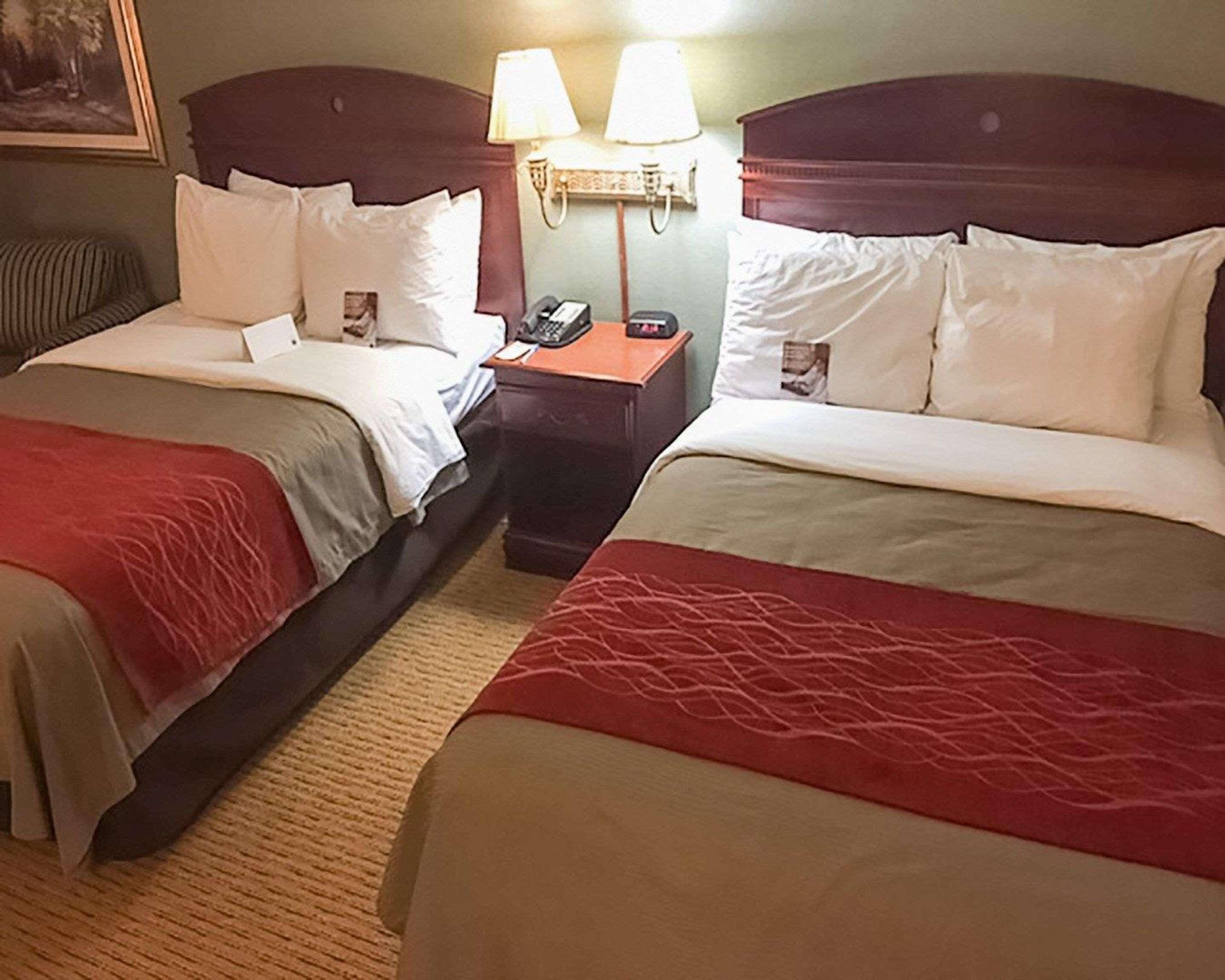 Comfort Inn Springfield Luaran gambar